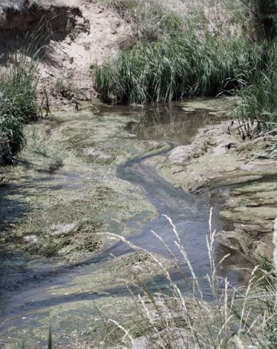 The Pecos River, once the source of water for 10,000 native American prisoners from 1863 - 1868